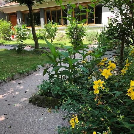 Konukevi D'hotes Sur Ile