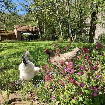 D'hotes Sur Ile Saint-Bonnet-de-Rochefort