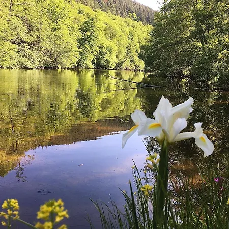D'hotes Sur Ile Konukevi Saint-Bonnet-de-Rochefort