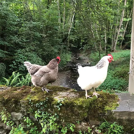 D'hotes Sur Ile Saint-Bonnet-de-Rochefort